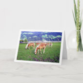 Paarden grazen in Oostenrijk Kaart (Voorkant)