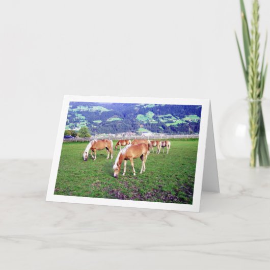 Paarden grazen in Oostenrijk Kaart (Voorkant)
