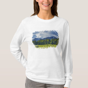 Paarden grazen in weiland bij Whitefish, T-shirt