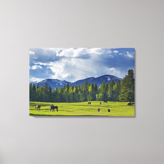 Paarden grazen in weiland nabij Whitefish; Canvas Afdruk (Voorkant)