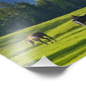 Paarden grazen in weiland nabij Whitefish; Foto Afdruk (Hoek)