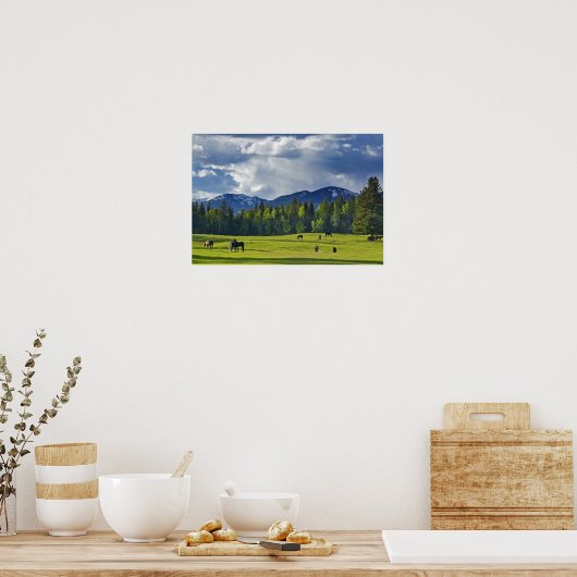 Paarden grazen in weiland nabij Whitefish; Poster (Keuken)