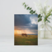 Paarden grazen op stormachtige dag briefkaart (Staand voorkant)