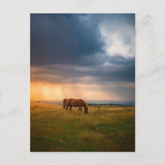 Paarden grazen op stormachtige dag briefkaart (Voorkant)