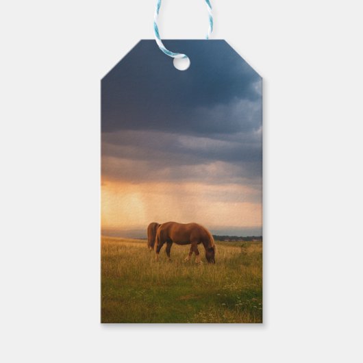 Paarden grazen op stormachtige dag cadeaulabel (Voorkant)