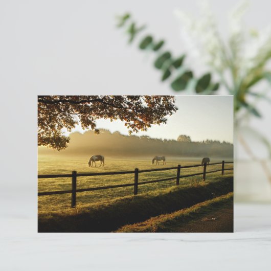Paarden Grazing in zonnestralen Bedankkaart (Staand voorkant)