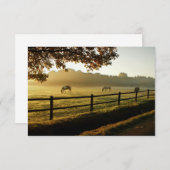 Paarden Grazing in zonnestralen Bedankkaart (Voorkant / Achterkant)