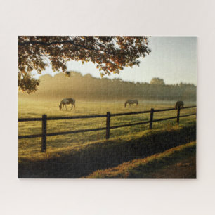 Paarden Grazing in zonnestralen Legpuzzel
