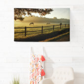 Paarden Grazing in zonnestralen Spandoek (Insitu)