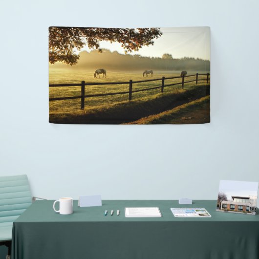 Paarden Grazing in zonnestralen Spandoek (Beurs)