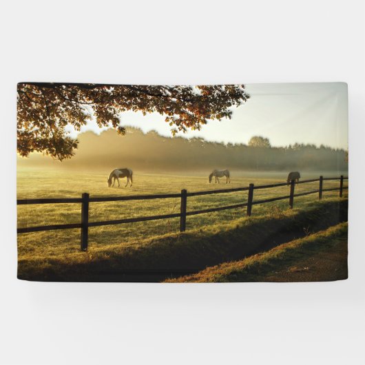 Paarden Grazing in zonnestralen Spandoek (Horizontaal)