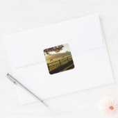 Paarden Grazing in zonnestralen Vierkante Sticker (Envelop)