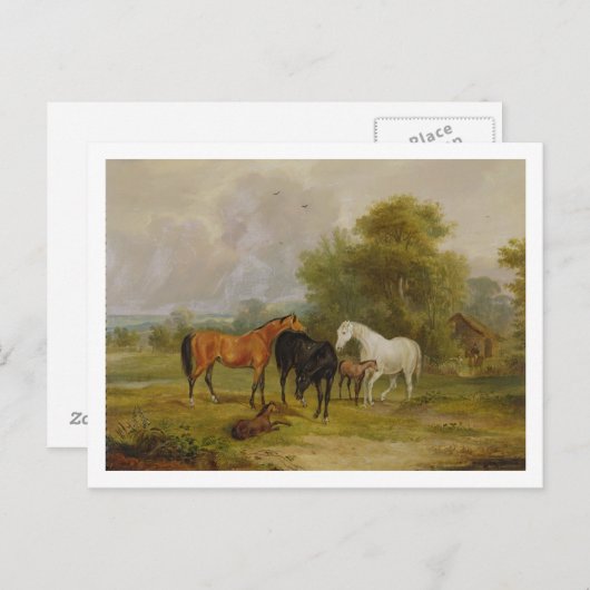 Paarden Grazing: Mares and Foals in a Field (olie Briefkaart (Voorkant / Achterkant)
