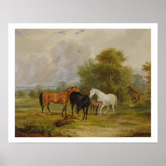 Paarden Grazing: Mares and Foals in a Field (olie Poster (Voorkant)