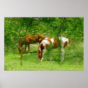 Paarden Groene bladeren 11 x 85 Poster
