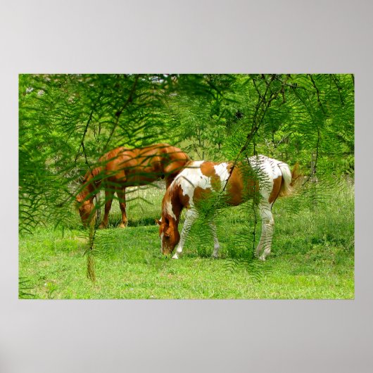 Paarden Groene bladeren 11 x 85 Poster (Voorkant)