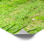 Paarden Groene bladeren 11 x 85 Poster (Hoek)