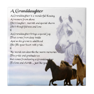 Paarden Grootaustergedicht Tegeltje