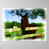 Paarden Hallo Waterverf Poster (Voorkant)
