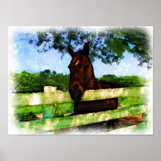 Paarden Hallo Waterverf Poster (Voorkant)