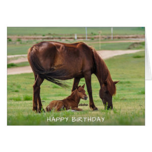 Paarden Happy Birthday Kaart