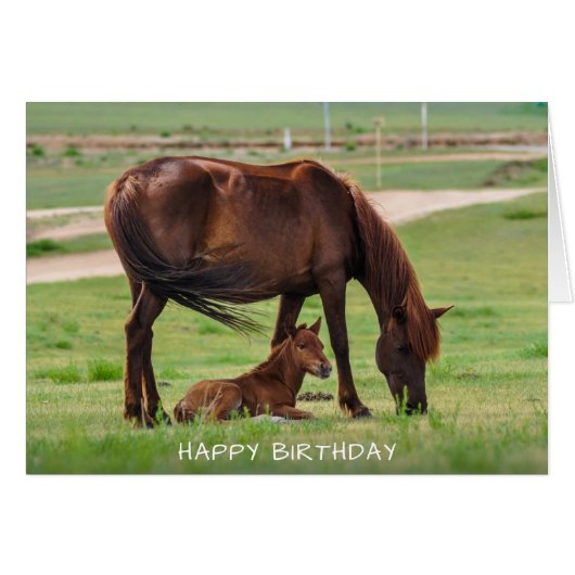 Paarden Happy Birthday Kaart (Voorkant Horizontaal)