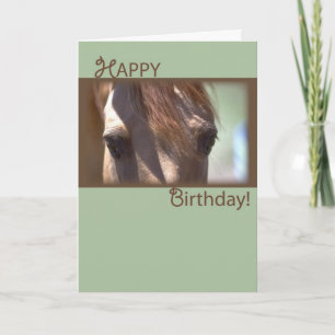 Paarden, Happy Birthday Kaart