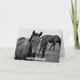 PAARDEN HAPPY BIRTHDAY kaartontwerp Kaart