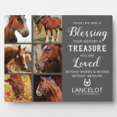 Paarden Herdenkingsfoto Collage Fotoplaat (Voorkant)