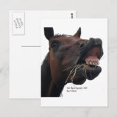 Paarden: Hoi! Briefkaart (Voorkant / Achterkant)