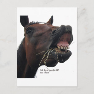 Paarden: Hoi! Briefkaart