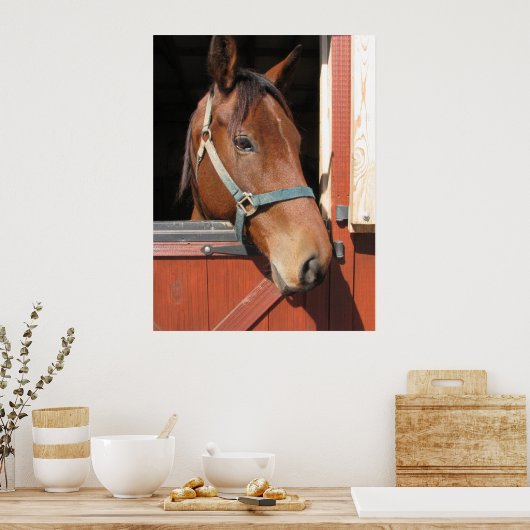 Paarden in Barn Poster (Keuken)