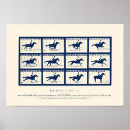 Paarden in beweging - Sallie Gardner bij een gallo Poster