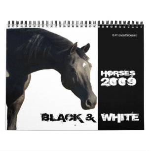 Paarden in BLACK & WHITE Large 2009 Calendar Kalender