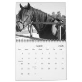 Paarden in BLACK & WHITE Large 2009 Calendar Kalender (Mar 2026)
