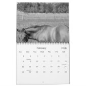 Paarden in BLACK & WHITE Large 2009 Calendar Kalender (Feb 2026)