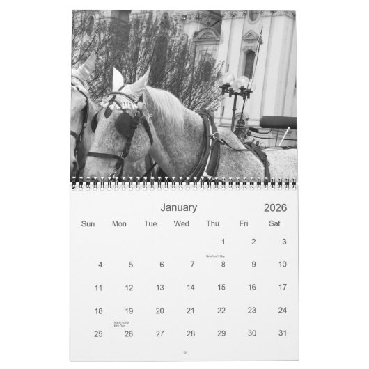 Paarden in BLACK & WHITE Large 2009 Calendar Kalender (Jan 2026)