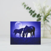 Paarden in Blue Night Briefkaart (Staand voorkant)