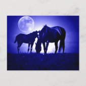 Paarden in Blue Night Briefkaart (Voorkant)