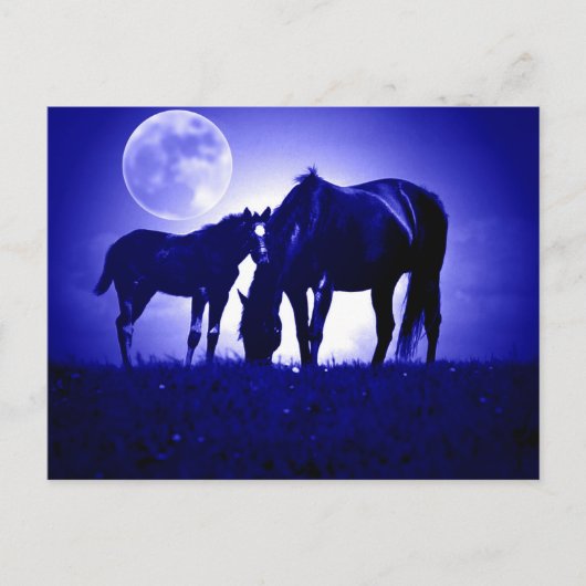 Paarden in Blue Night Briefkaart (Voorkant)