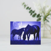 Paarden in Blue Night Briefkaarten (Staand voorkant)