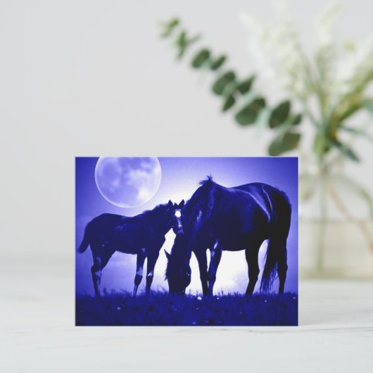 Paarden in Blue Night Briefkaarten (Staand voorkant)
