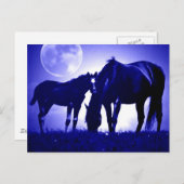 Paarden in Blue Night Briefkaarten (Voorkant / Achterkant)