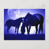 Paarden in Blue Night Briefkaarten (Voorkant)