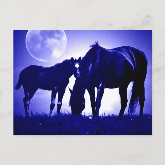 Paarden in Blue Night Briefkaarten (Voorkant)