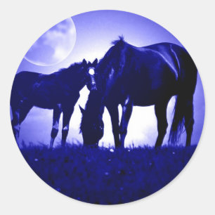 Paarden in Blue Night Ronde Sticker