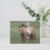 Paarden in Briefkaart ter plaatse (Staand voorkant)