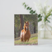 Paarden in de Bossen Briefkaart (Staand voorkant)