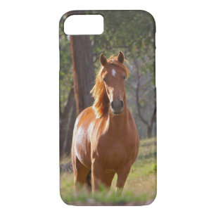 Paarden in de Bossen Case-Mate iPhone Case