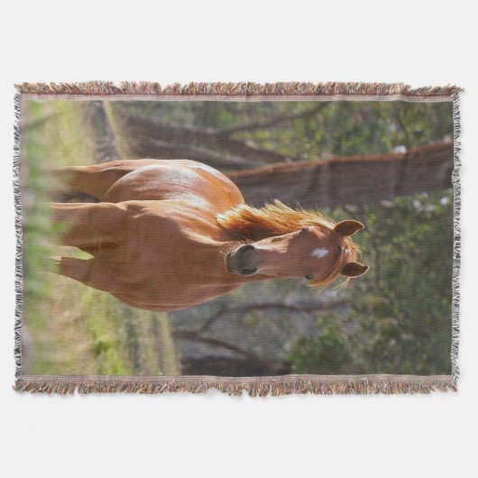 Paarden in de Bossen Deken (Voorkant)